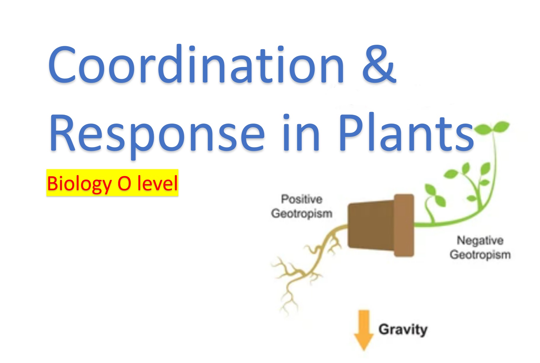 Inheritance - Part 1