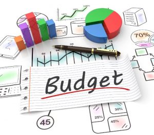 Budgeting and budgetary control Part 1