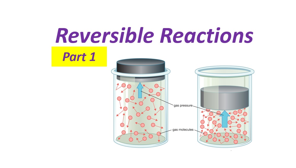 Reversible Reaction - Part 1