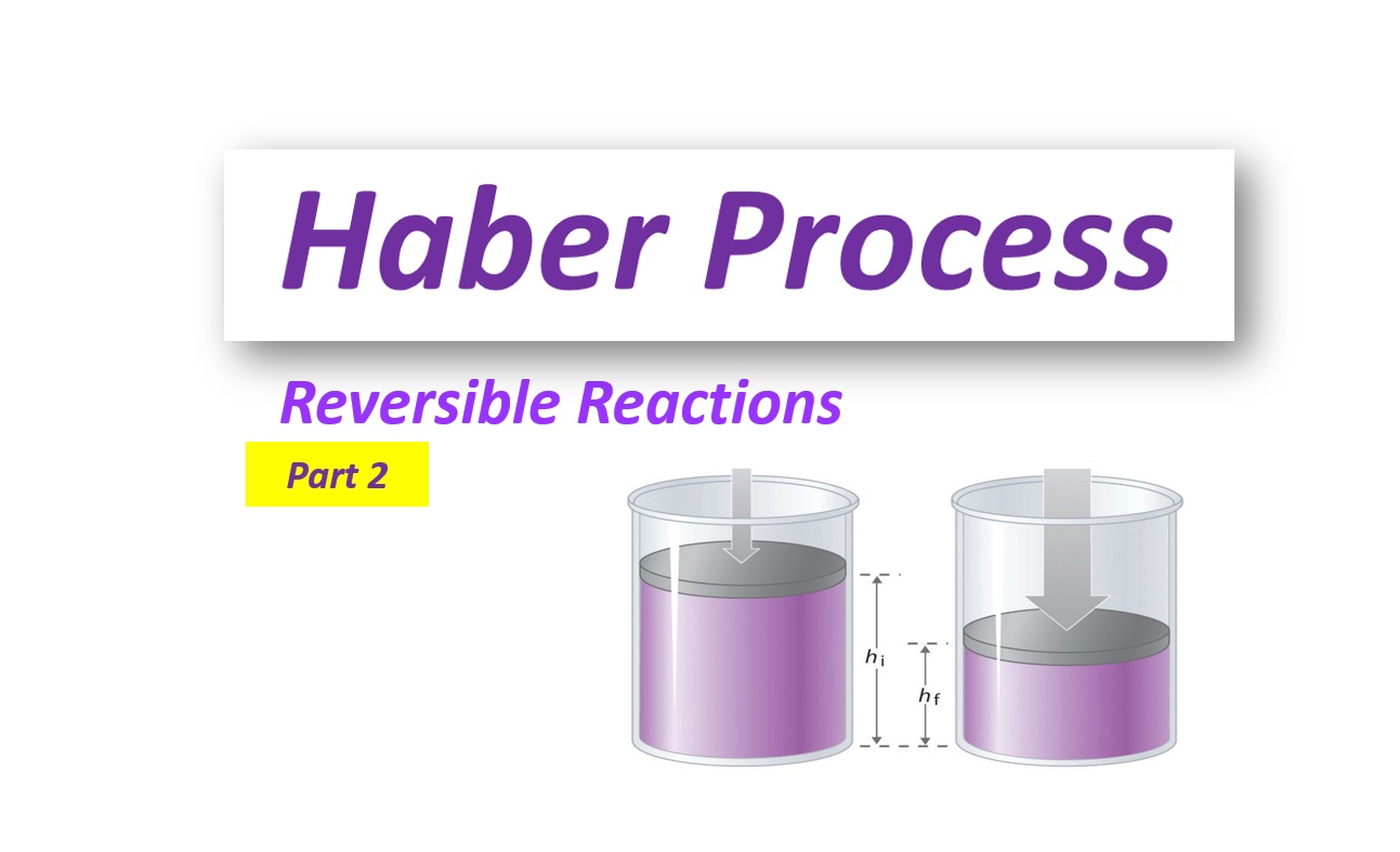The Haber Process